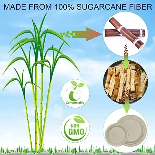 Juego de vajilla desechable 250 piezas (fiesta de 50 invitados) ecológico 100 % caña de azúcar Foto 2 de 4