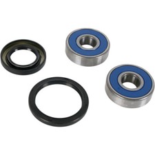 Pivot Works Wheel Bearing and Seal Kit - Double Seal - Front | PWFWS-Y02-000