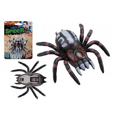 Wizz Toys Wandkletterspinne