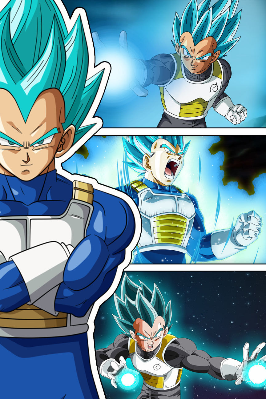 Dragon Ball Super Poster Goku and Vegeta SSJ/Blue/God 12inx18in