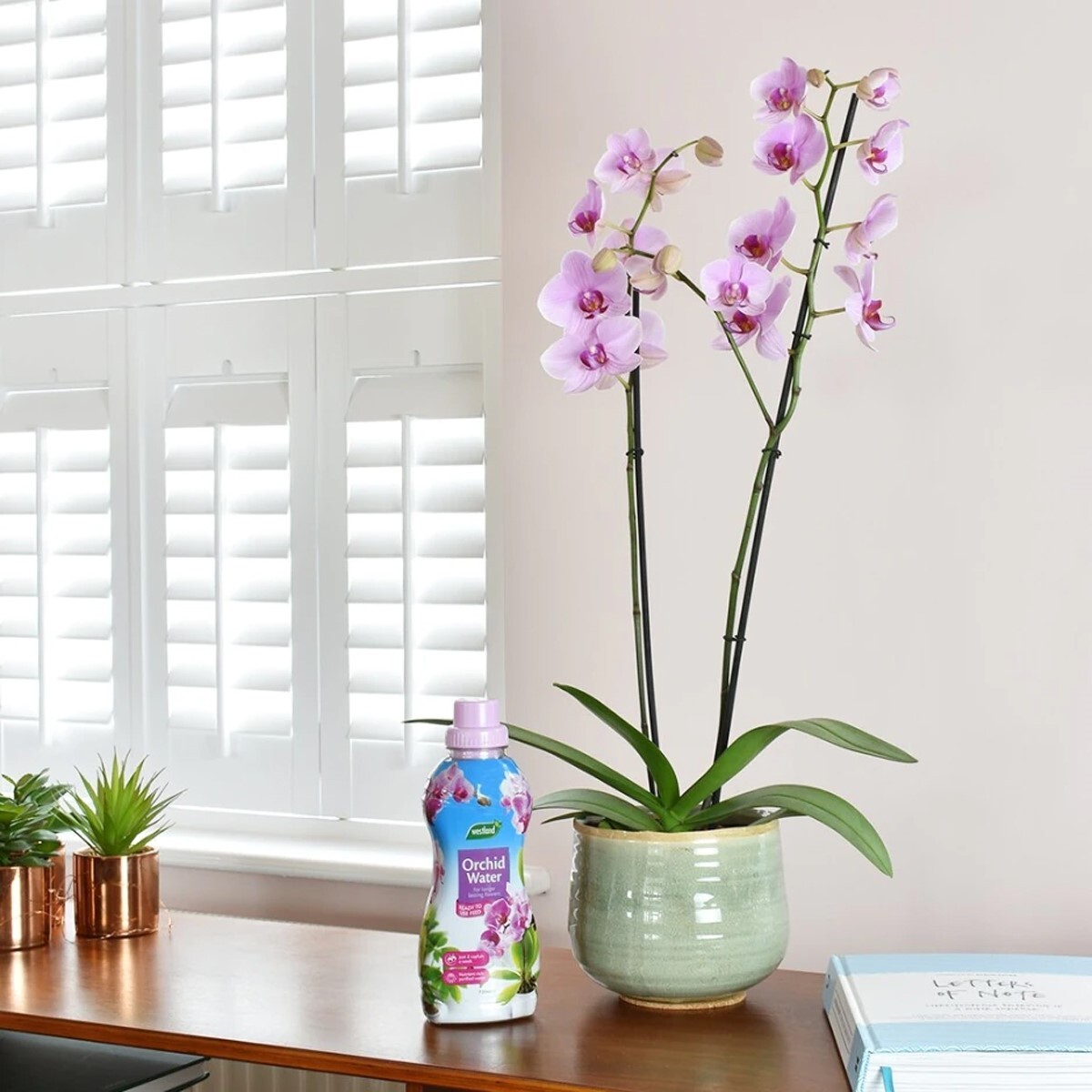 Westland Orchid Feed Plant Food Water 720 Ml for sale online eBay