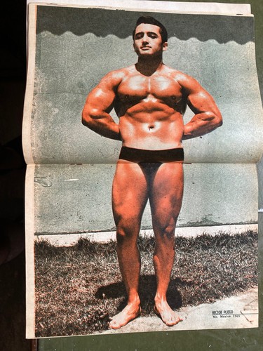 Muscle Power JUAN MIRANDA—ALFONSO TORRES —Mr. MEXICO Profesional 201 - 第 8/10 張圖片