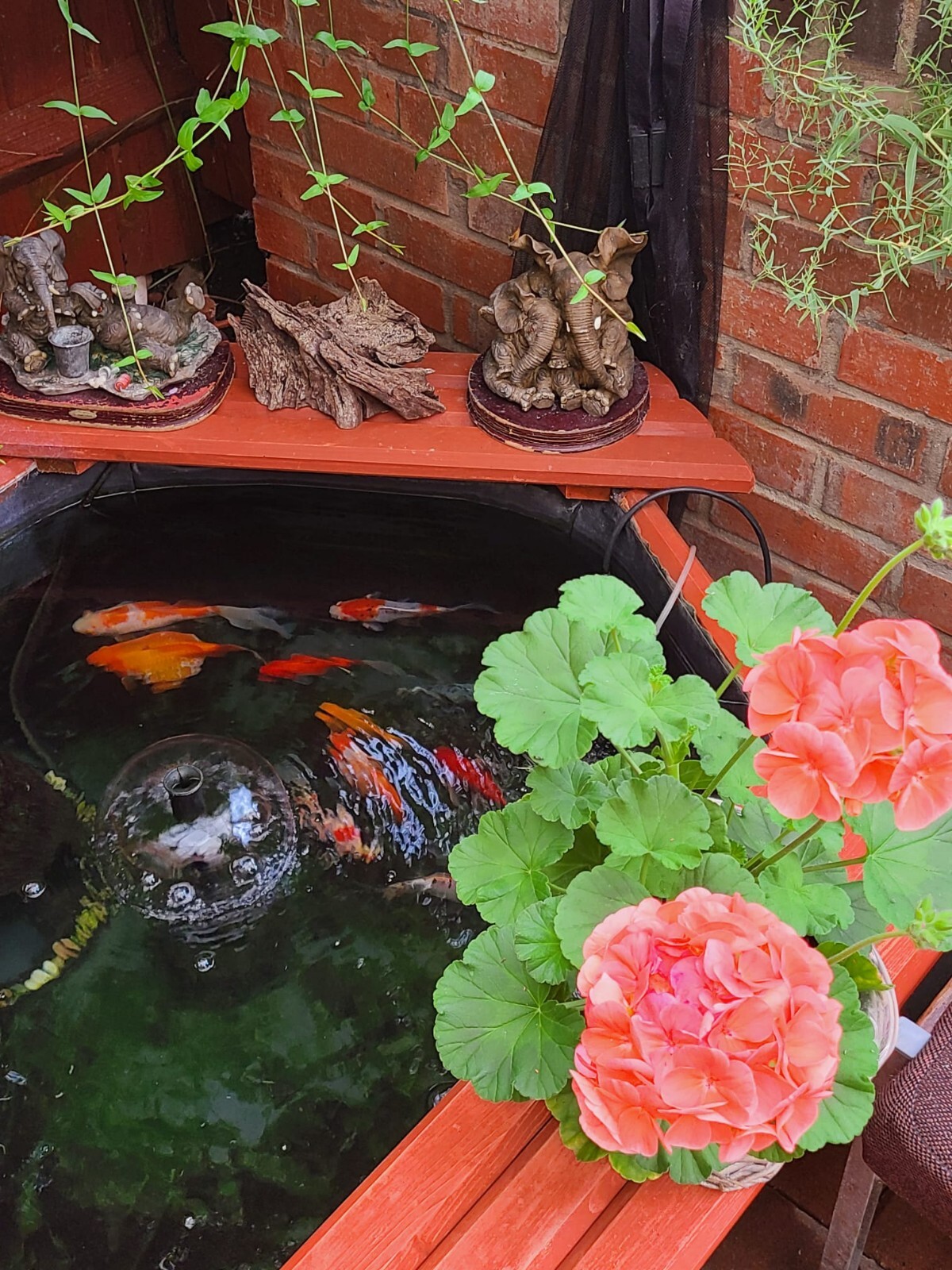 fish ponds for sale eBay