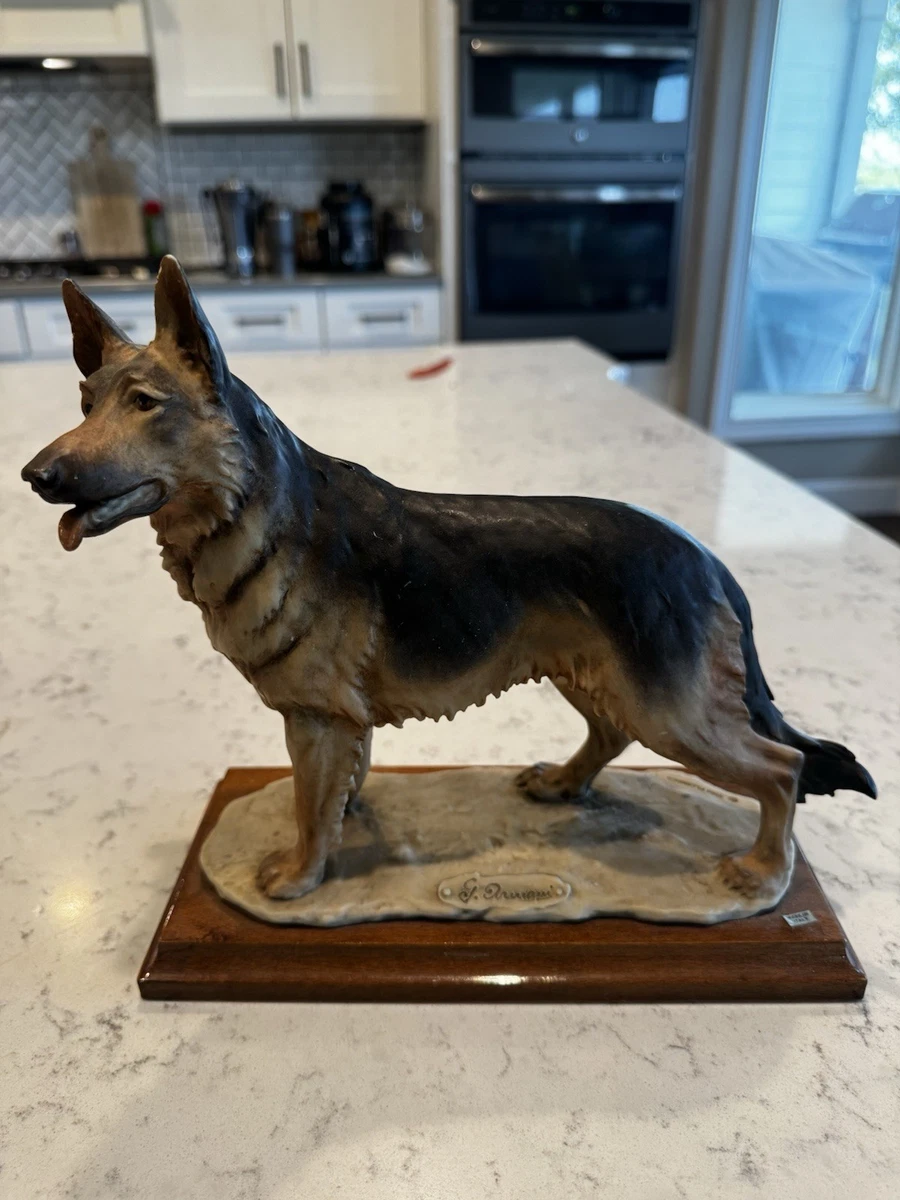 Armani Dog for sale | eBay