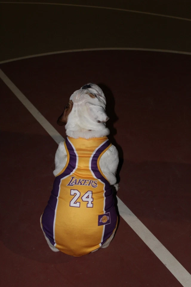 Chaleco jersey baloncesto mascota perro Foto 4 de 4