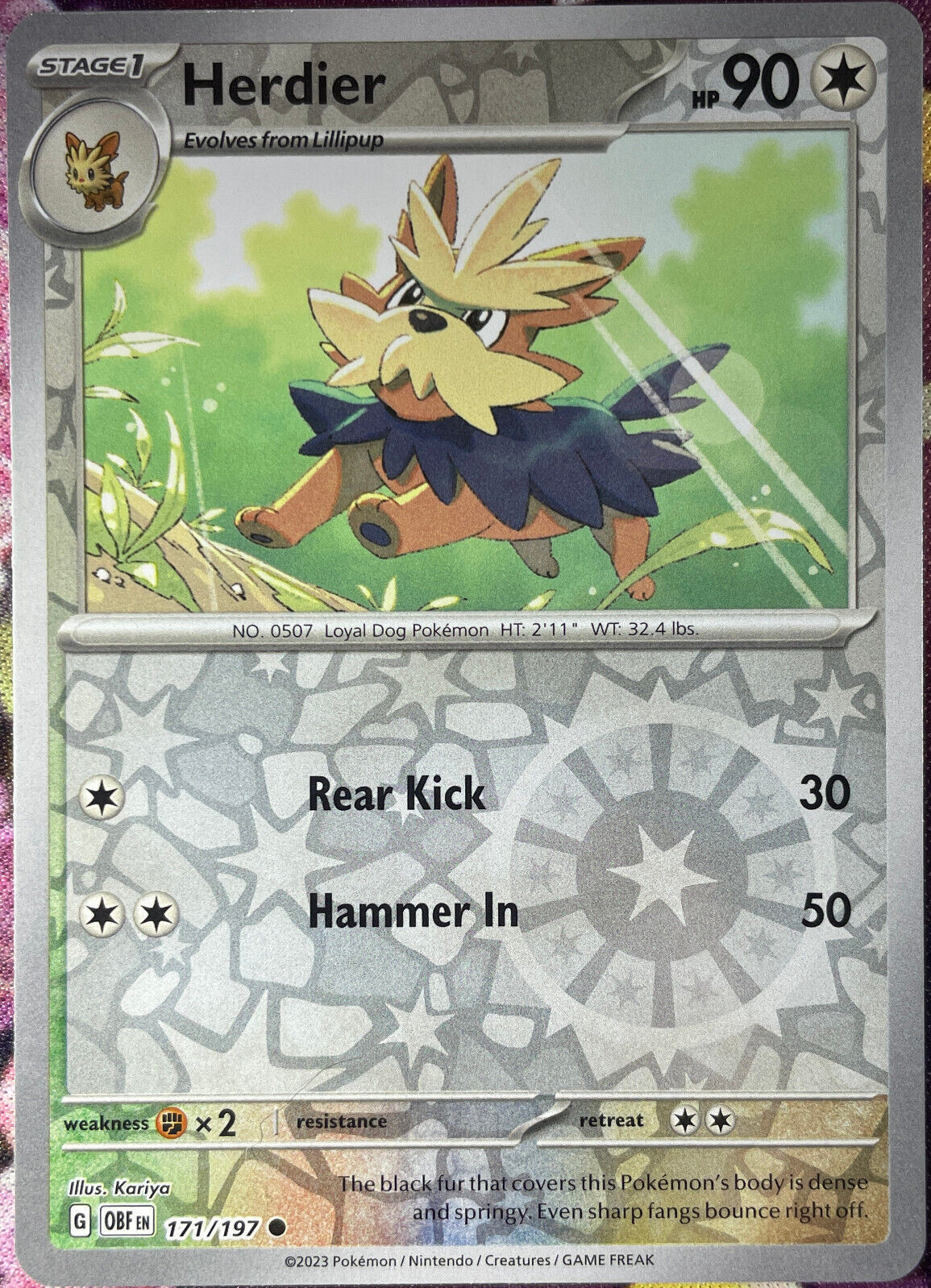 Herdier Reverse Holo - 171/197 - Obsidian Flames Pokemon 2023