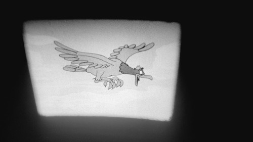 Them's My Boys - 16mm film black & white sound - Bucky and Pepito cartoon - Picture 13 of 13