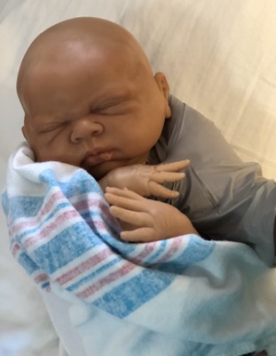 shellys reborn dolls ebay