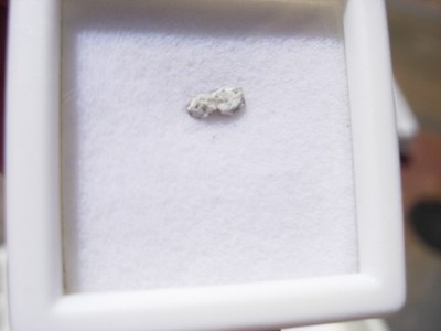 #31 Wadsworth Ohio Meteorite 4mm wide fragment in 1'' wide glass top case + COA