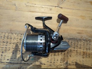 Daiwa Iso Tournament | eBay UK