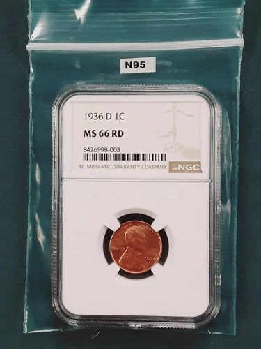 1936 D Wheat Cent / Penny! NGC MS66 RD! Brown label!  1c N95