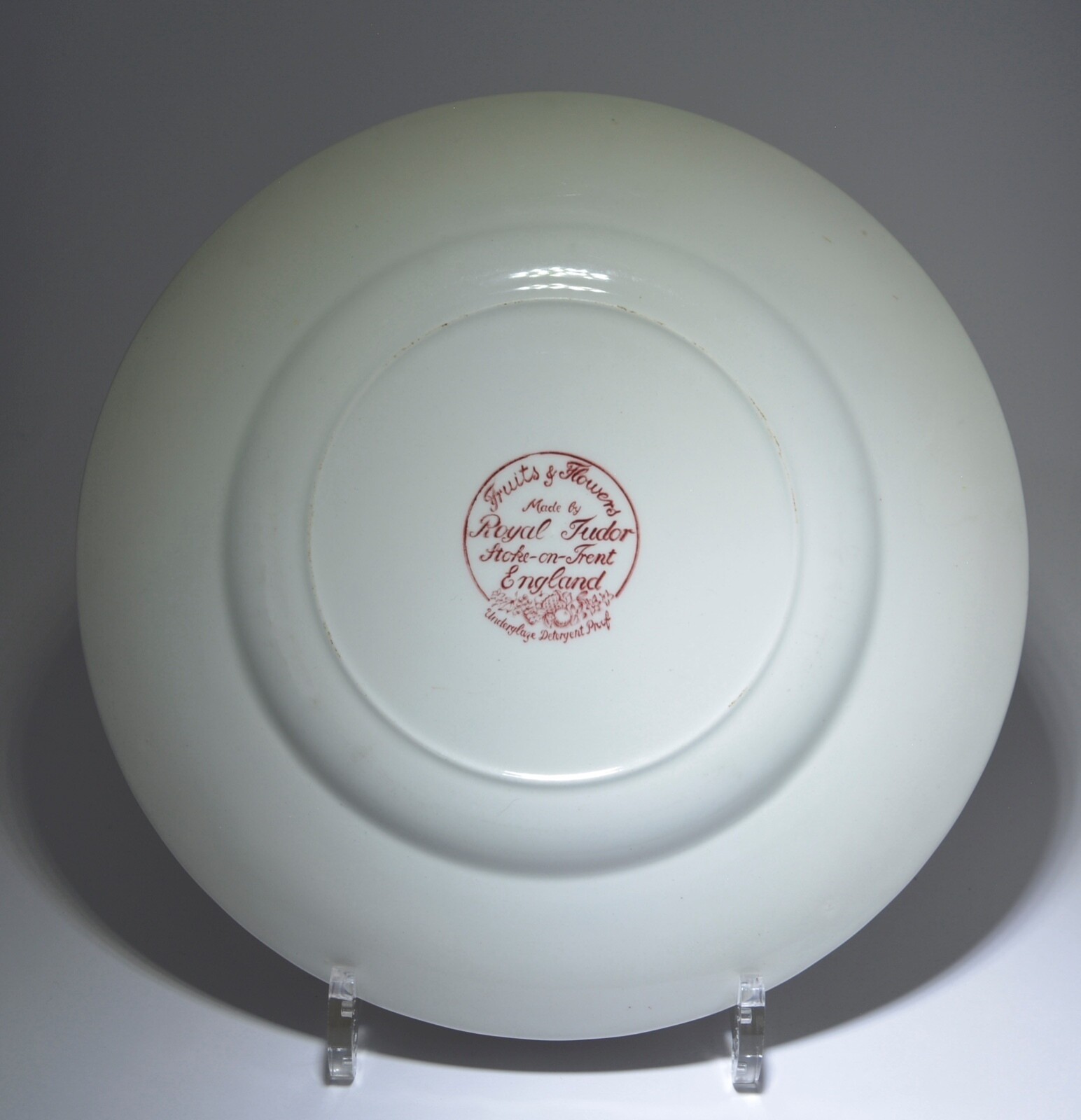 Royal Tudor Fruits & Flowers 6 Suppenteller Stoke on Trent Ø 23 cm rot