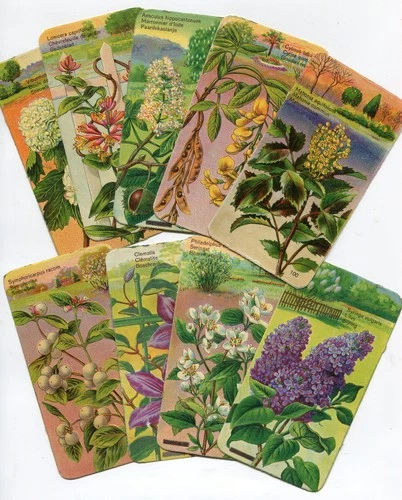 Wafer scrap chromo floral pictures by L&B No. 33622