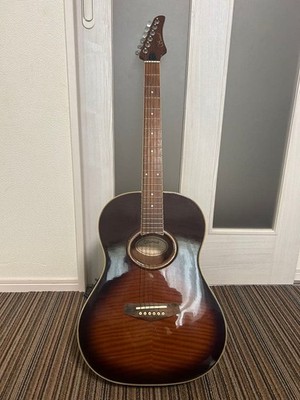 Samick FP 500BRSB Akustikgitarre
