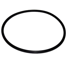 Pentair 151122 O-Ring for Big Blue Filter Housing