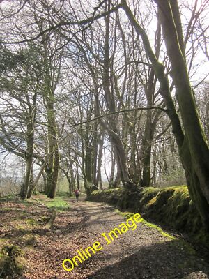 Photo 6x4 Wessex Ridgeway, Lewesdon Hill Broadwindsor From the same point c2014