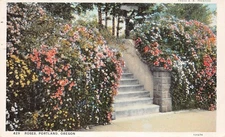 Portland OR Oregon Bungalow House Rose Botanical Garden Flowers Vtg Postcard C32