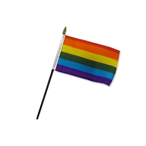 Wholesale Lot of 9 Pride/LGBTQ+ 12"x18" Handheld Mini Flag w/ Wood Stick - 第 1/1 張圖片