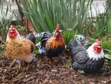 Huhn Hahn Deko Figur   natürlich Hahn Gartenfigur wetterfest NEU