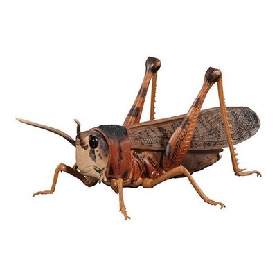 Bandai Gashapon Migratory Locust Action Figure ADVANCE Gregarious Phase 8.5cm