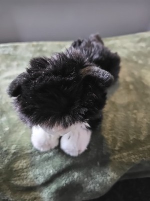 KEEL TOYS Länge 10 Zoll bis Schwanzspitze KÄTZCHEN - JINX . PLÜSCHTIER mit Halsband