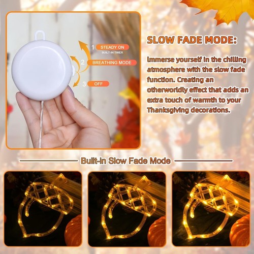 Hanging LED Lights Maple Leaf Pumpkin Acorn Autumn Thanksgiving Decoration Light - Picture 6 of 7