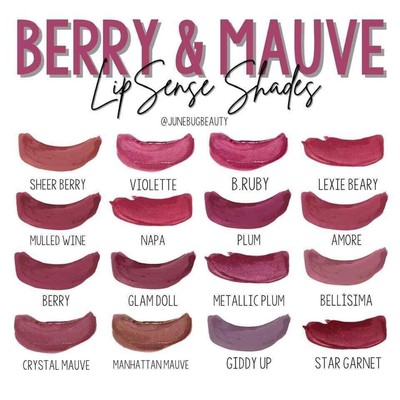 LinerSense Waterproff liquid LipSense BERRY Color - NEW SEALED