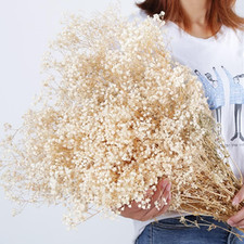 17 Inch Dried Flowers Baby'S Breath Bouquet - 2000 Ivory White Dry Flowers,Natu
