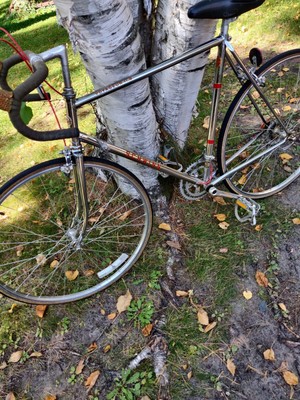 schwinn voyageur 11.8