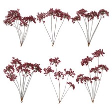 6 Pcs Lace Natural Real Pressed Dried Flower for Art Craft DIY Dark Purple