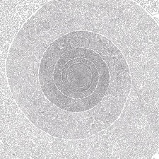 Kiss The Anus Of A Black Cat The Nebulous Dreams (CD) Album