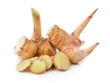 NEW 50 Galangal Items, grow your own galangal for cooking,Alpinia galanga