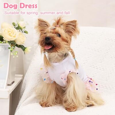 fall dresses for dogs Pink & Black Halloween Dog Dress