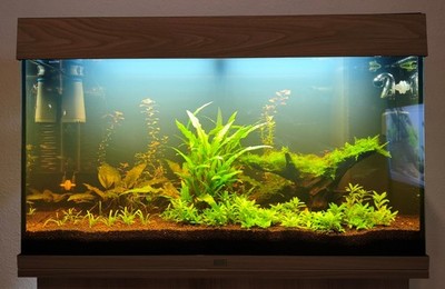 Juwel RIO 125 LED Light Wood
