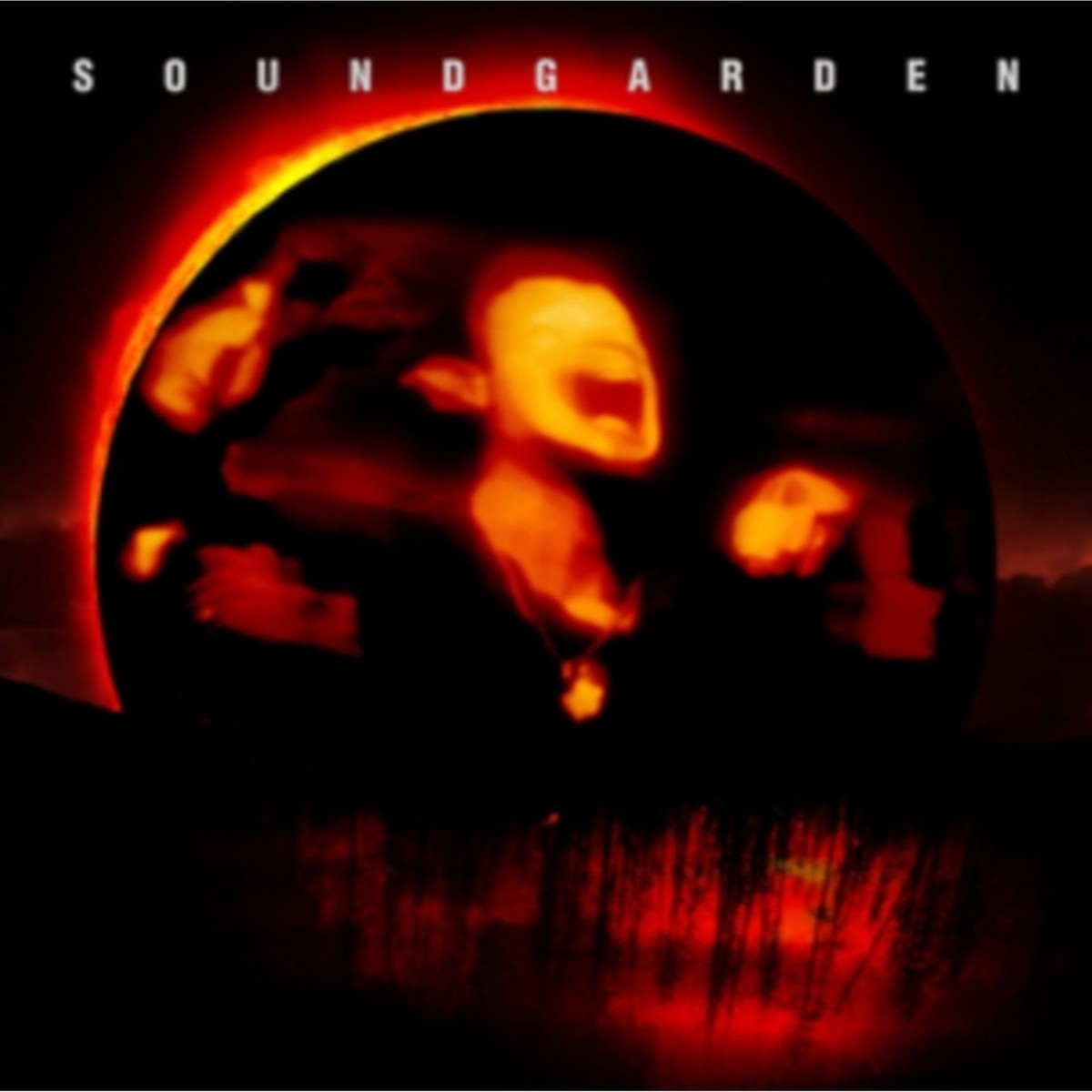 SOUNDGARDEN サウンド・ガーデン レコード LP サウンドガーデン - Superunknown (320 プレス) : r/vinyl