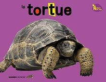 La tortue von Dreaming Green, Yi, Hee-jeong | Buch | Zustand gut