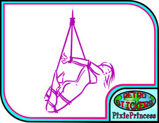 Bondage Rope S&M BDSM C adesivo vinile corda dungeon wall art sex domination decalcomania