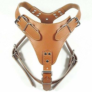 dog kingdom harness