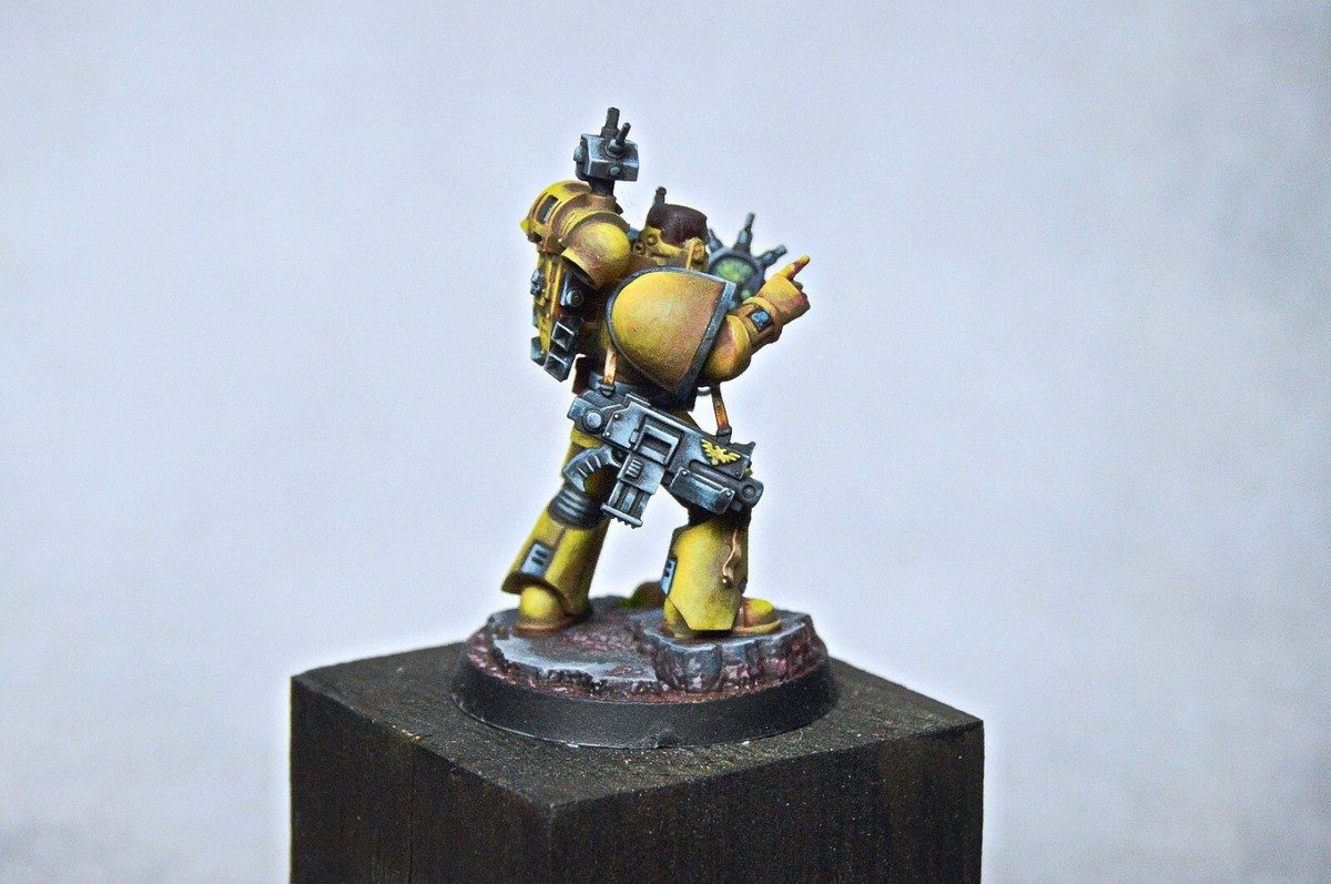 WARHAMMER 40K SPACE Marines Blood Angels Pro Painted Sergeant Captain Axe Gw EUR 100,00 - FR