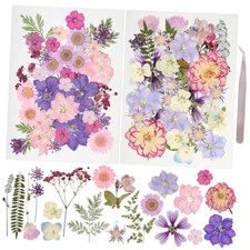 50Pcs Dried Pressed Flowers Resin Mould Real Pressed Flowers Natural Dry Purple