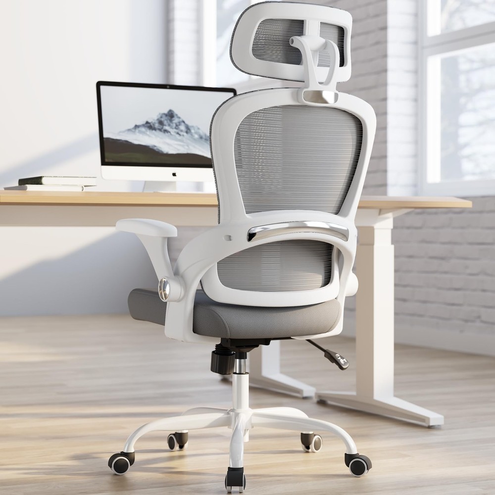 Office Chair - Ergonomic Office Chair with Back , Computer Chair - Home Offic...