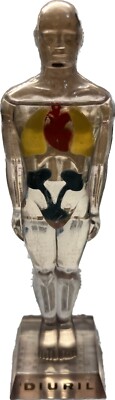 DIURIL VINTAGE MEDICAL ADVERTISING ANATOMY FIGURINE VISIBLE MALE MERCK & CO