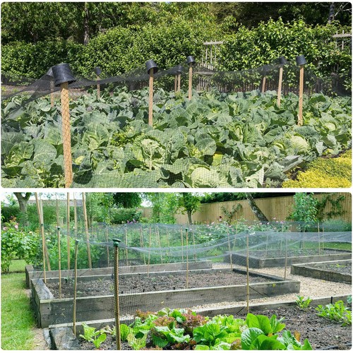 33ft Anti Bird Net Plant Protection Netting Garden Crops Plants Veg Fruits Mesh - Picture 13 of 27