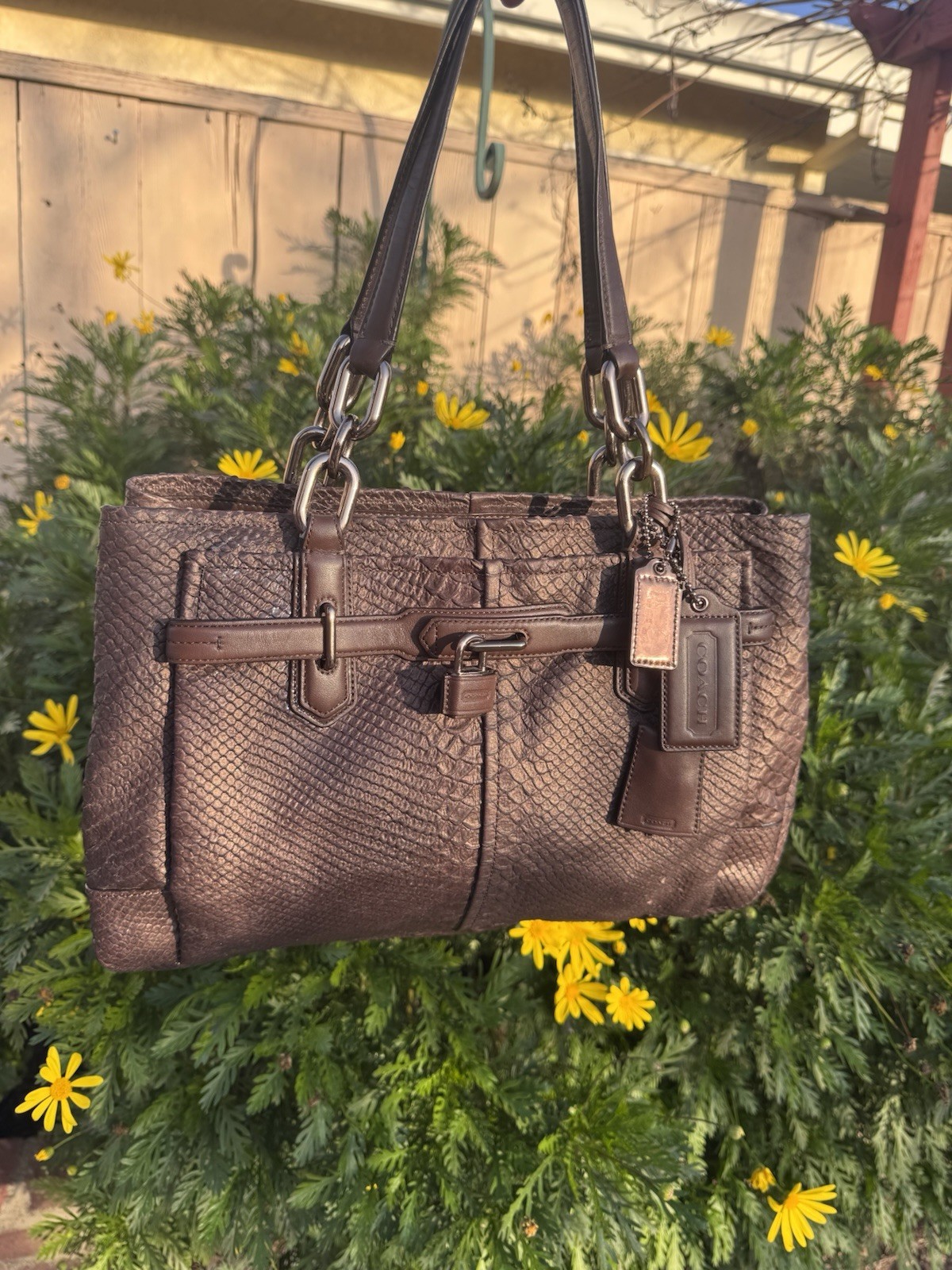 COACH Bronze  Python Embossed Leather Chelsea Jay… - image 1