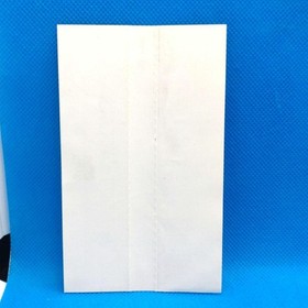 Luna Silver Star Story Mpeg Version Sega Saturn