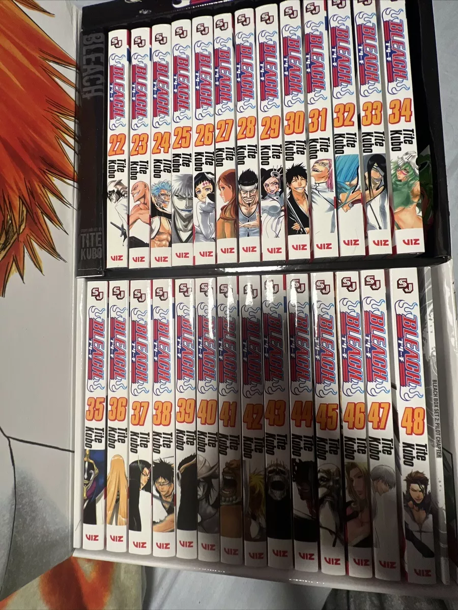 Bleach, Volume 22 by Tite Kubo