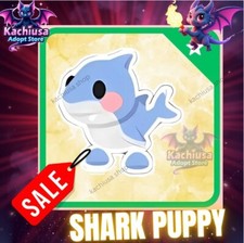   Shark Puppy Adopt M1e Cheap Pet For Sale  Fast Delivery Trusted Store 