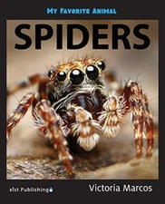 My Favorite Animal: Spiders                                                    