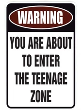 You Are about to Enter the Teenage ZONE sign Metal funny man cave decor D1175