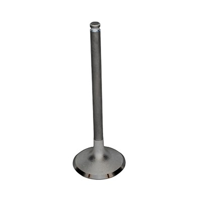 Exhaust Valve 18-21 2013-2025 Can-Am Defender 500 Rotax DOHC EFI UTV Side by Sid